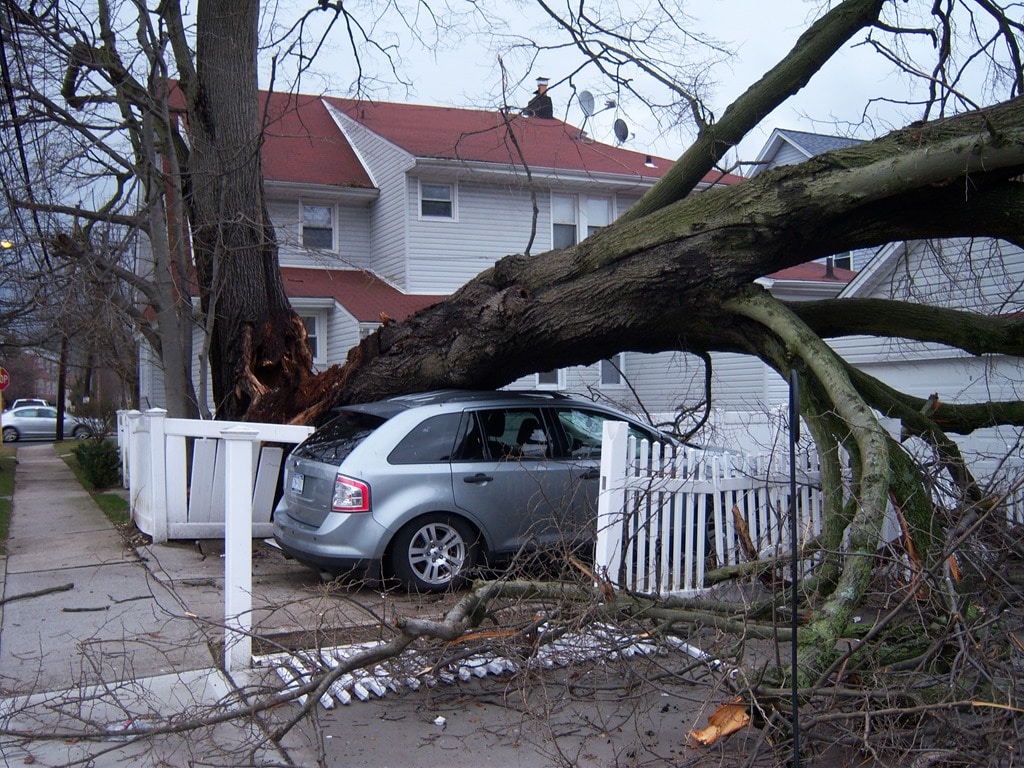 Ein umgestürzter Baum liegt auf einem Auto